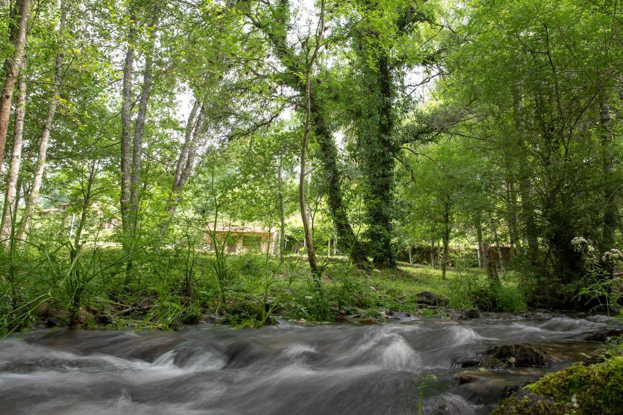 Quinta Da Rabacosa - Turismo Rural Castro Daire Eksteriør bilde