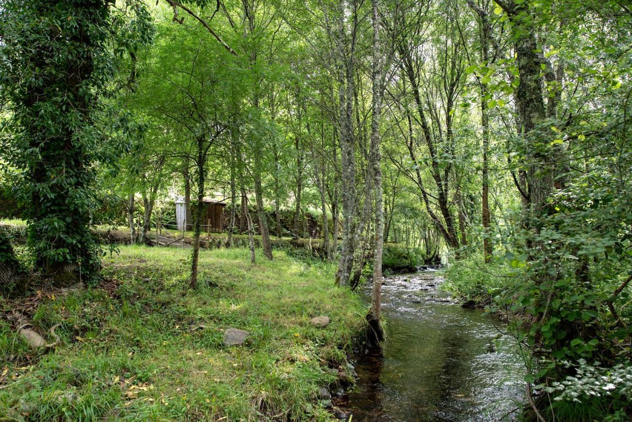 Quinta Da Rabacosa - Turismo Rural Castro Daire Eksteriør bilde