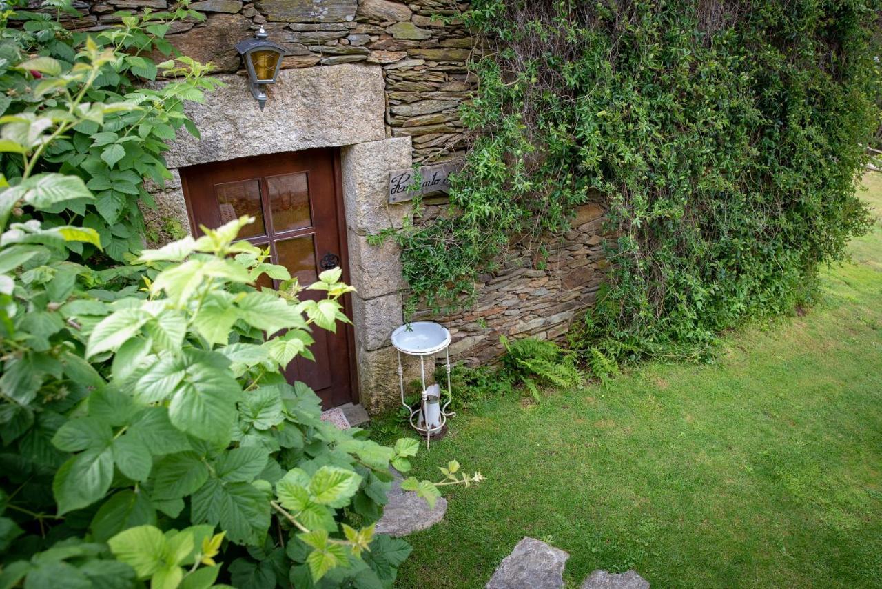 Quinta Da Rabacosa - Turismo Rural Castro Daire Eksteriør bilde