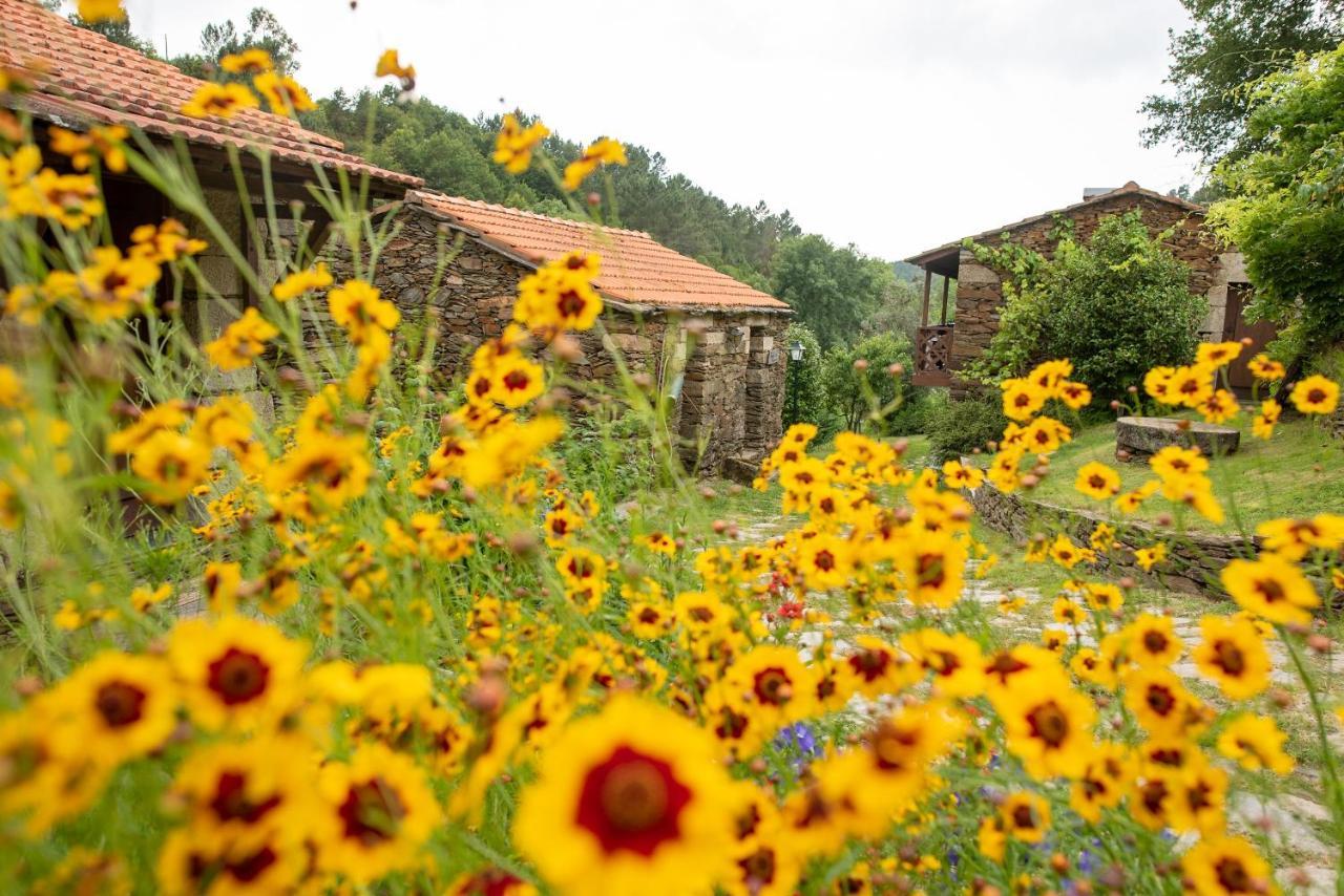 Quinta Da Rabacosa - Turismo Rural Castro Daire Eksteriør bilde