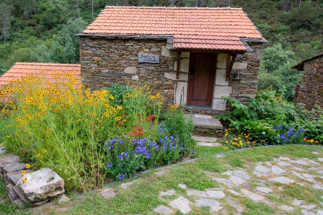 Quinta Da Rabacosa - Turismo Rural Castro Daire Eksteriør bilde